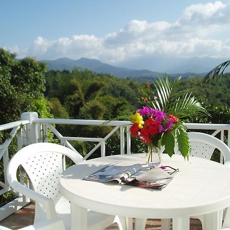 Tranquility Villa Порт-Антонио Экстерьер фото