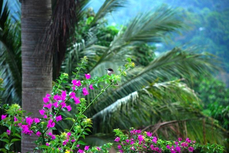 Tranquility Villa Порт-Антонио Экстерьер фото